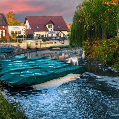 LOL外围官网app下载