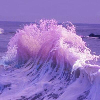 leyu·乐鱼-登录入口